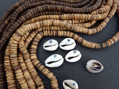 Natural Evil Eye Cowrie Shell Beads, Shell Pendant Charms, Ivory Cream Seashell, 5pc