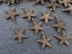 Bronze Starfish Charms, Star Charms, Bronze Stars, Beach Style, Bracelet Charms, Animal charms, Nautical charms, Antique Bronze Plated 8pcs