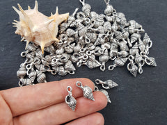 Conch Shell Charms, Silver Shell Charms, Mini Conch Shell, Shell Pendant, Spiral Shell, Seashell, Beach Style, Antique Silver Plated 5pc