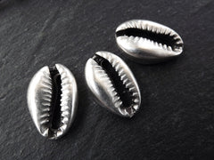 Cowrie Shell Charms, Silver Shell Charms, Seashell Shell, Shell Pendant, Bracelet Charm, Beach Charm, Beach Style, Antique Silver Plated 3pc