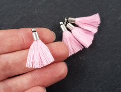 Blush Pink Tassels, Mini Tassels, Earring Tassels, Bracelet Tassels, Small Pink Tassel, Tassel Charm, Matte Antique Silver Cap, 26mm, 4pc