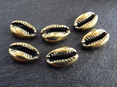 Cowrie Shell Charms, Bronze Shell Charms, Mini Cowrie Shell, Shell Pendant, Bracelet Charm, Beach Charm, Beach Style, Antique Bronze, 6pc