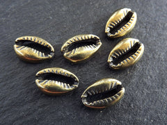 Cowrie Shell Charms, Bronze Shell Charms, Mini Cowrie Shell, Shell Pendant, Bracelet Charm, Beach Charm, Beach Style, Antique Bronze, 6pc