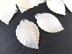 Leaf Pendant, Mother of Pearl Carved Leaf Pendant, White Carved Shell, MOP Leaves Carving, MOP Beads, Front Drilled, 45x30mm, 2pc