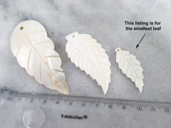 4 Mother of Pearl Carved Leaf Pendant, Small White Carved Shell, MOP Leaves Carving, Front Drilled, 40x18mm, 4pc, No:10