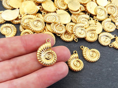 Ammonite Fossil Spiral Sea Shell Charms, Gold Shell Pendant, Bracelet Charm, Beach Charm, Beach Style, 22k Matte Gold Plated 3pc