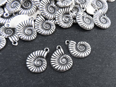 Ammonite Fossil Spiral Sea Shell Charms, Gold Shell Pendant, Bracelet Charm, Beach Charm, Beach Style, Matte Antique Silver Plated 3pc