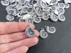 Ammonite Fossil Spiral Sea Shell Charms, Gold Shell Pendant, Bracelet Charm, Beach Charm, Beach Style, Matte Antique Silver Plated 3pc