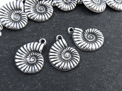 Ammonite Fossil Spiral Sea Shell Charms, Gold Shell Pendant, Bracelet Charm, Beach Charm, Beach Style, Matte Antique Silver Plated 3pc