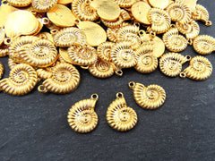 Ammonite Fossil Spiral Sea Shell Charms, Gold Shell Pendant, Bracelet Charm, Beach Charm, Beach Style, 22k Matte Gold Plated 3pc