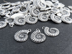 Ammonite Fossil Spiral Sea Shell Charms, Gold Shell Pendant, Bracelet Charm, Beach Charm, Beach Style, Matte Antique Silver Plated 3pc