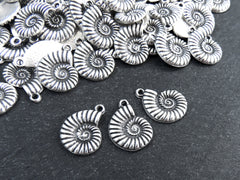 Ammonite Fossil Spiral Sea Shell Charms, Gold Shell Pendant, Bracelet Charm, Beach Charm, Beach Style, Matte Antique Silver Plated 3pc