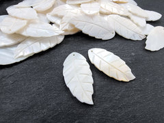 2 Mother of Pearl Carved Leaf Pendant, Small White Carved Shell, MOP Leaves Carving, Front Drilled, 51x42mm, 2pc, No:15