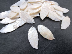 2 Mother of Pearl Carved Leaf Pendant, Small White Carved Shell, MOP Leaves Carving, Front Drilled, 51x42mm, 2pc, No:15