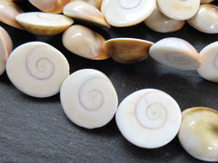 Natural Shiva Shell Beads, 20 x 18mm Natural Fossil Round Dome Beads, Gemstone Cabochon Bead, Round Cab Beads, 11 Beads